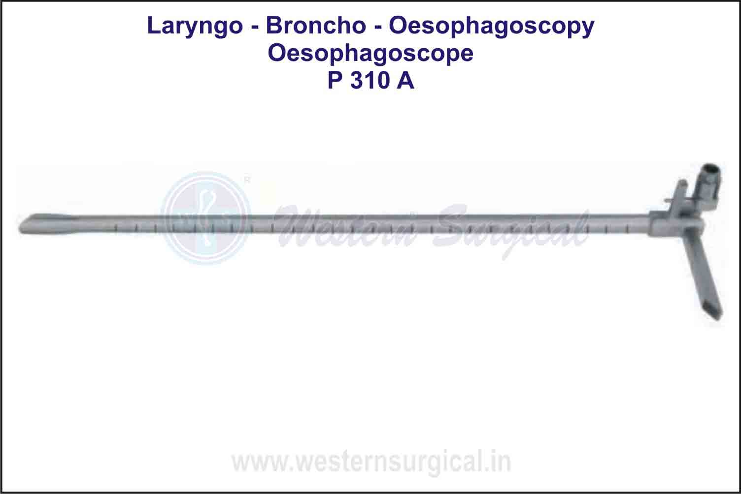 OESOPHAGOSCOPE