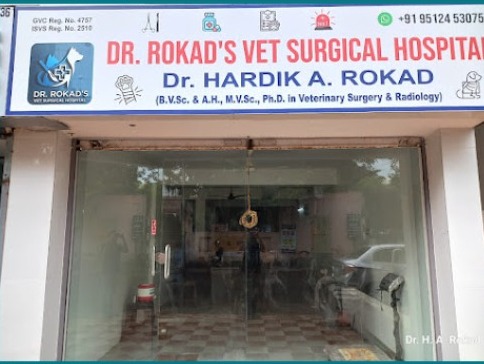 dr.rokad's vet surgical hospital -rajkot  