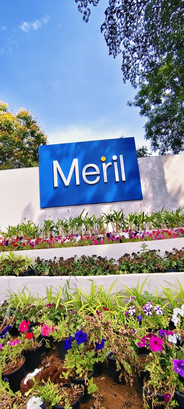 meril medical innovations private limited - vapi 