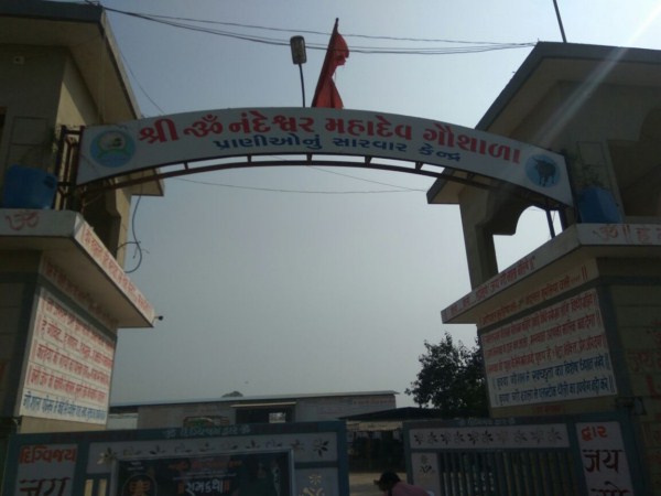 Shree OM Nandesver Mahadev Gausala - Animal Hospital 