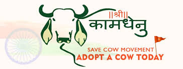 SHREE KAMDHENU GAUSHALA & PASHU SARVJANIK TRUST - ATKOT 