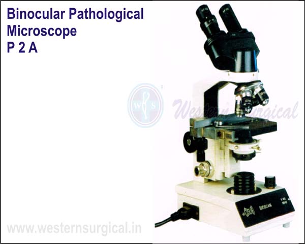 Biological Microscope